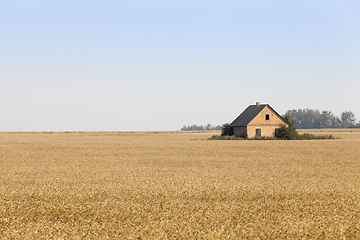 Image showing The house is in the field