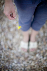 Image showing woman flower