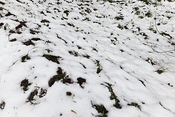 Image showing After snowfall