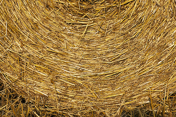 Image showing stack of straw in the field