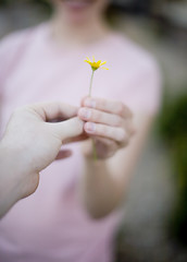 Image showing Holding Flower