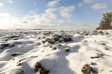 Image showing plowed field under snow