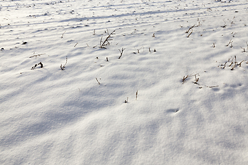 Image showing Snow drifts in winter