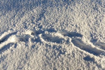 Image showing tracks in the snow