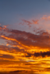 Image showing Orange sky, out of focus