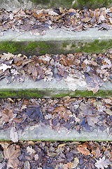 Image showing Old steps, autumn