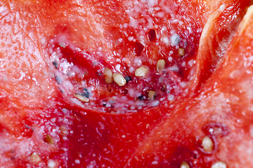 Image showing mold on watermelon