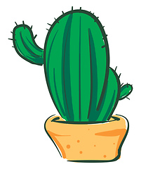 Image showing Long cactus in orange pot vector or color illustration
