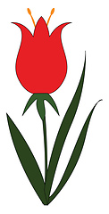 Image showing Simple vector illustration on white background of a red flower w