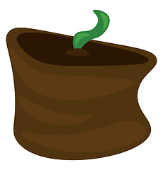 Image showing A sprouting seedling vector or color illustration