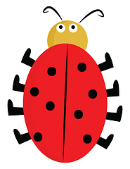 Image showing A cute little lady beetle vector or color illustration