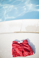 Image showing Swimming shorts