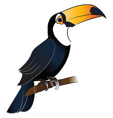 Image showing Toucan bird with orange beak vector or color illustration