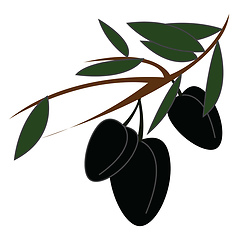 Image showing Black olives on a branch simple vector illustration on white bac