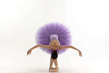 Image showing Young graceful tender ballerina on white studio background