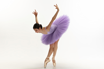 Image showing Young graceful tender ballerina on white studio background