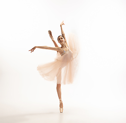 Image showing Young graceful tender ballerina on white studio background