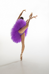 Image showing Young graceful tender ballerina on white studio background