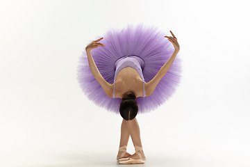 Image showing Young graceful tender ballerina on white studio background