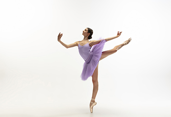 Image showing Young graceful tender ballerina on white studio background