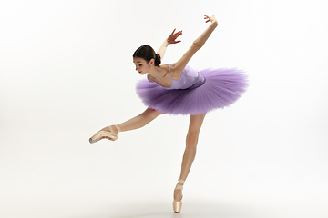 Image showing Young graceful tender ballerina on white studio background