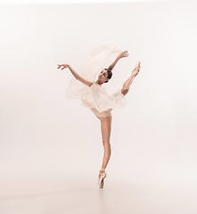 Image showing Young graceful tender ballerina on white studio background