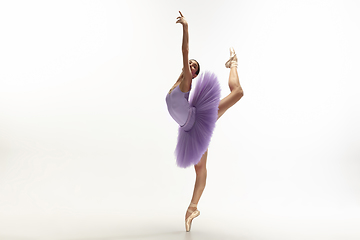 Image showing Young graceful tender ballerina on white studio background