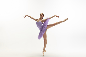 Image showing Young graceful tender ballerina on white studio background