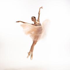 Image showing Young graceful tender ballerina on white studio background