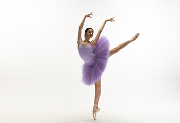 Image showing Young graceful tender ballerina on white studio background