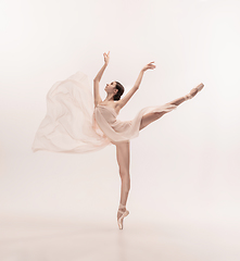 Image showing Young graceful tender ballerina on white studio background