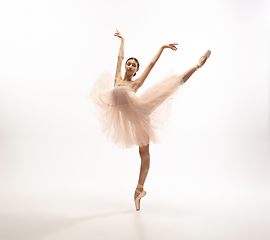 Image showing Young graceful tender ballerina on white studio background