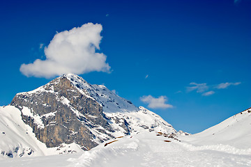 Image showing Alpine Landscape