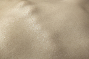 Image showing Texture of human skin. Close up of well-kept caucasian human body