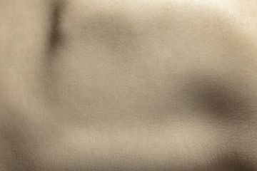 Image showing Texture of human skin. Close up of well-kept caucasian human body