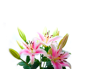 Image showing pink lily flower bouquet