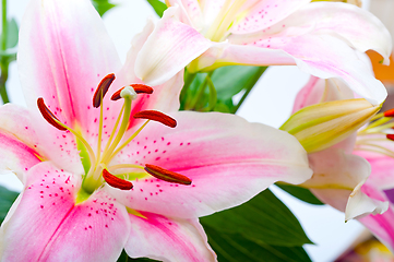 Image showing pink lily flower bouquet