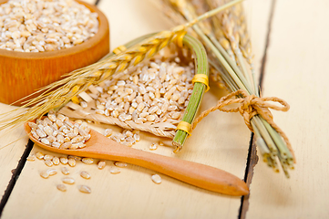 Image showing organic barley grains