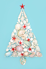 Image showing Christmas Tree Concept Shape with Seashell Collection