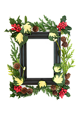 Image showing Winter Solstice Frame with Collection of Flora