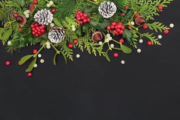 Image showing Natural Winter and New Year Floral Background