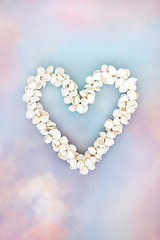 Image showing Cockle Sea Shell Heart Wreath on Sky Background