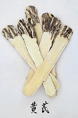 Image showing Astragalus Root  