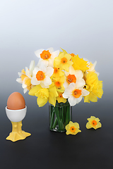 Image showing Spring Daffodils and an Egg for Breakfast Composition