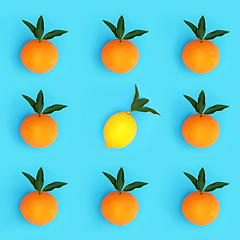 Image showing Abstract Orange and Lemon Citrus Fruit Odd One Out Concept