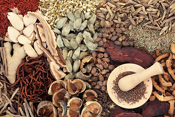 Image showing Preparing Chinese Herbal Medicine with Herbs and Spices 