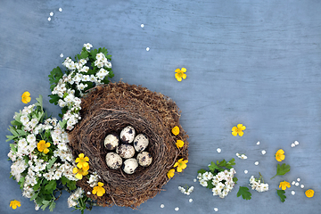 Image showing Quail Eggs for a Healthy Immune Boost