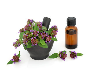 Image showing Self Heal  Herb and Medical Essential Oil Bottle