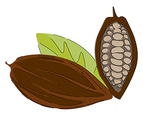 Image showing Cacao nibs/Clipart of cacao beans vector or color illustration