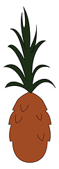 Image showing Pineapple with green leaves vector or color illustration